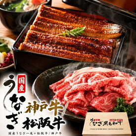 うなぎ お中元 ギフト 夏ギフト 御中元 2026 肉 食品 誕生日 国産 うなぎ & 神戸牛 松阪牛 180g ギフト セット 詰め合わせ 国産 鰻 ウナギ 蒲焼き 1尾 黒毛和牛 牛肉 切り落とし 贈答用 プレゼント グルメ 高級 お礼 お祝い 内祝い お礼 丑の日 うなぎ冷凍 日付指定