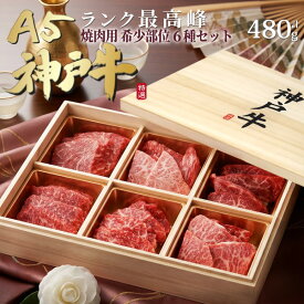 お中元 ギフト 夏ギフト 御中元 肉 食品 誕生日 グルメ A5 ランク 神戸牛 6種 食べ比べセット 480g ブランド牛 3〜4人前 焼肉 特上カルビ 焼き肉 国産 黒毛和牛 和牛 牛肉 焼肉用 高級焼肉セット 贈答用 熨斗 お肉 内祝い お礼 お祝い プレゼント 肉 結婚祝い 日付指定