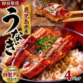 お中元 ギフト 夏ギフト 御中元 丑の日 2026 お返し うなぎ 国産 プレゼント 訳あり 蒲焼き 鹿児島 県産 80g 4パック レトルト 食品 国内産 鰻 ウナギ たれ付 レンチン おかず 惣菜 レンジ 鰻丼 御祝 小分け 冷凍 内祝い うなぎ蒲焼 総菜 お惣菜 アウトレット わけあり