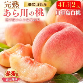 お中元 ギフト 夏ギフト 御中元 あら川の桃 川中島白桃 4Lサイズ 2玉 桃 和歌山県産 赤秀品 大玉サイズ もも 白桃 甘い 国産 日本産 紀の川市 特産品 和歌山 荒川 あらかわ 高級 フルーツ 果物 くだもの 旬 詰め合わせ 贈答用 内祝い お返し プレゼント お供え 人気 有名
