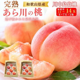 お中元 ギフト 夏ギフト 御中元 訳あり あら川の桃 川中島白桃 12〜14玉 (6〜7玉×2箱) サイズ不揃い 桃 和歌山県産 もも はくとう 国産 日本産 紀の川市 特産品 和歌山 荒川 あらかわ 高級 フルーツ 果物 くだもの 旬 詰め合わせ 贈り物 贈答 プレゼント ギフト 暑中見舞い