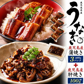 お中元 ギフト 父の日 御中元 2026 お返し うなぎ 鹿児島県産 うなぎの蒲焼き 240g (80g×3) & 肝焼き 100g 蒲焼き 国産 鰻 ウナギ 珍味 レンチン 湯煎 おつまみ 惣菜 おかず 小分け 個包装 お祝い 内祝い プレゼント 総菜 ウナギ冷凍 丑の日 うなぎ蒲焼 配達 指定 日付指定
