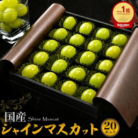敬老の日 ギフト 秋 グルメ 2026 国産 シャインマスカット 20粒入り ボックス M〜LLサイズ ぶどう ブドウ 種なしぶどう 皮ごと食べられる 種無し 国産 日本産 高級 スイーツ フルーツ くだもの 果物 旬の果物 お供え 御祝 内祝い プレゼント マスカット お彼岸