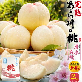 お中元 ギフト 夏ギフト 御中元 あら川の桃 清水白桃 2kg 5〜6玉/ 4kg 11〜12玉 桃 和歌山県産 赤秀品 もも 甘い 国産 紀の川市 特産品 和歌山 荒川 あらかわ 高級 フルーツ 果物 くだもの 旬 詰め合わせ 贈答用 プレゼント 内祝い お返し 人気 有名