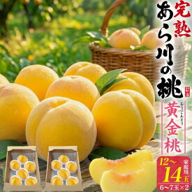 お中元 ギフト 夏ギフト 御中元 訳あり あら川の桃 黄金桃 12〜14玉 (6〜7玉×2箱) サイズ不揃い 桃 和歌山県産 もも おうごんとう 黄桃 国産 紀の川市 特産品 荒川 あらかわ 高級フルーツ 果物 くだもの 旬 詰め合わせ 贈り物 贈答 プレゼント ギフト 暑中見舞い 産地直送
