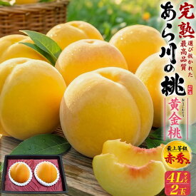 お中元 ギフト 夏ギフト 御中元 あら川の桃 黄金桃 4Lサイズ 2玉 桃 和歌山県産 赤秀品 大玉サイズ もも 黄桃 糖度13度以上 甘い 国産 日本産 紀の川市 特産品 和歌山 荒川 あらかわ 高級 フルーツ 果物 くだもの 旬 詰め合わせ 贈り物 贈答 プレゼント ギフト [冷蔵] 直送
