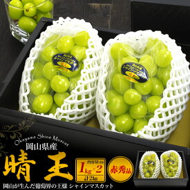 敬老の日 ギフト 秋 ギフト 岡山県産 シャインマスカット 晴王 約450g〜500g × 2房 糖度20度以上 ギフト 贈答用 はれおう 葡萄 ぶどう ブドウ 種なし 皮ごと食べられる 種無し 国産 日本産 フルーツ くだもの 果物 旬の果物 プレゼント マスカット 食べ物 お彼岸