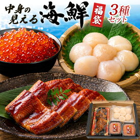お中元 ギフト 夏ギフト 御中元 【海鮮 福袋 】 国産 イクラ ウナギ ほたて 帆立 海産物 蒲焼き おうちごはん 名産品 特産品 詰め合わせ セット お値打ち 激安 お得 贈り物 お取り寄せ グルメ ギフト プレゼント 内祝い 御歳暮