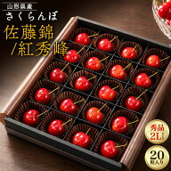 お中元 ギフト 夏ギフト 御中元 ギフト さくらんぼ 佐藤錦 または 紅秀峰 20粒入 2L 秀品 国産 日本産 フ…