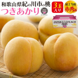 お中元 ギフト 夏ギフト 御中元 桃 最上等級 赤秀品 つきあかり 3玉入り 和歌山県産 有機肥料栽培 オーガニック もも 黄桃 有機 完熟 甘い 国産 日本産 紀の川市 特産品 和歌山 高級フルーツ 果物 くだもの 旬 ブランド品 詰め合わせ 贈り物 贈答 プレゼント ギフト 産地直送