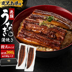 敬老の日 ギフト 2026 プレゼント 鹿児島県産 国産 うなぎ 蒲焼 特大サイズ 約180g×2尾 合計約360g 鰻 ウナギ 蒲焼き 総菜 惣菜 粉山椒付 湯煎 電子レンジ可 国産 鰻丼 うな丼 贈答用 内祝い お祝い おつまみ 冷凍 孫から おばあちゃん おじいちゃん