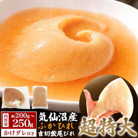 母の日 ギフト 2026 気仙沼産 吉切鮫 ふかひれ 尾びれ 特大サイズ 国産 宮城県産 高級食材 フカヒレ 調理前 味付け前 中華食材 中華料理 業務用 本格中華 日本産 パウチ 真空パック 鱶鰭 1人前 2人前 ヨシキリザメ 吉切さめ 尾ビレ スープ 送料無料 ギフト プレゼント