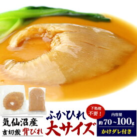 母の日 ギフト 2026 気仙沼産 吉切鮫 ふかひれ 背びれ 大サイズ（約100g前後）国産 宮城県産 高級食材 フカヒレ 調理前 味付け前 中華食材 中華料理 業務用 素材 材料 高級食材 本格中華 記念日 日本産 真空パック 鱶鰭 1人前 2人前 ヨシキリザメ 吉切さめ 背ビレ 姿煮