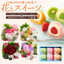 楽天市場】母の日 6号 カーネーションの通販