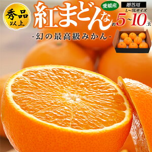 Ε ~Mtg Mtg g}hi Q  Gi g܂ǂ 1.8`2kg L`5LTCY 5`10 G ݂ QY Yn 2L ݂ ~J ׂɂ܂ǂ Y ʕ t[c Yi 