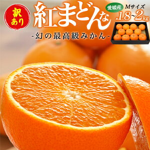 Ε ~Mtg Mtg 󂠂 g܂ǂ Q 1.8`2kg L`5LTCY (5`10) ƒp ݂ QY Yn 2L ݂ ~J g}hi ׂɂ܂ǂ x Y ʕ t[c 