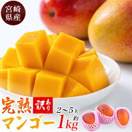 訳あり 宮崎県産 完熟 マンゴー 1kg 2〜5玉 国産 日本産 甘い くだもの 果物 フルーツ ギフト 濃厚 贈り…