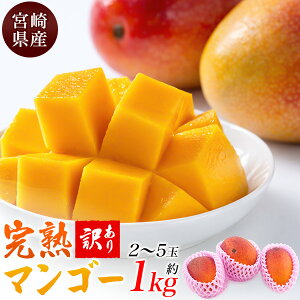 �󂠂� �{�茧�Y ���n �}���S�[ 1kg 2�`5�� ���Y ���{�Y �Â� �������� �ʕ� �t���[�c �M�t�g �Z�� ���蕨 ������ ��� �v���[���g �������� ���j�� ���l �����j�� ���j�� �����O���� ���C�j��