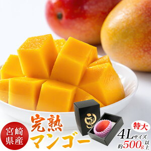 �M�t�g �{�茧�Y ���n �}���S�[ 4L 5L �����p ���Y ���{�Y �Â� �������� �ʕ� �t���[�c �M�t�g �Z�� ���蕨 ������ ��� �v���[���g �������� ���j�� ���l �����j�� ���j�� �����O����