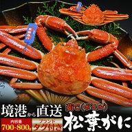 ギフト 食べ物 お返し 松葉ガニ 釜茹 ×1枚 境港 姿 ズワイガニ 700g 〜 800g ×1杯 ボイル カニ ( 山陰 …