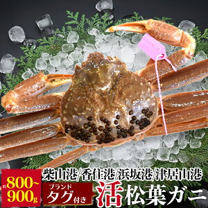 Ε ~Mtg Mtg I 1 ɌY YCKj  tKj p 800g ` 900g 1t Ynؖ uh ^Ot JjiĎR / ËR / Z / l₩ɁjtI ܂΃Kj 1C 