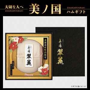 Ε ~Mtg Mtg 2025 ykC v~A m  UKH-SR10z nMtg lߍ킹 Zbg jb|n jzn  蕨 p lC   O  M