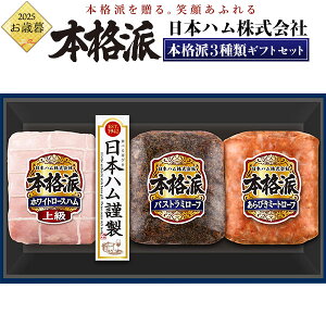 Ε ~Mtg Mtg 2025 y{ih NH-337z nMtg lߍ킹 Zbg jb|n jzn  蕨 p lC   O  Mtg v[g ʔ 