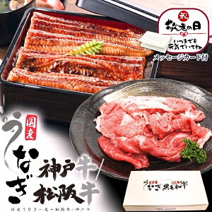 yp̉N̓ Ȃ hV̓ Mtg  ăMtg Y Ȃ & _ˋ ㋍ 180g MtgZbg lߍ킹 Y V EiM Ă 1 јa  ؂藎Ƃ  p v