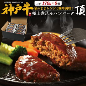 お中元 ギフト 夏ギフト 御中元 2026 肉 食品 誕生日 グルメ 神戸牛 極煮込み ハンバーグ 冷凍 6個 セット 肉ギフト ブランド牛 国産 黒毛和牛 牛肉 和牛 レンチン おかず 惣菜 レトルト プチギフト プレゼント お祝い お礼 内祝い おつまみ 総菜 贈り物 食べ物 日付指定