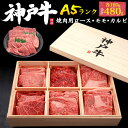 お歳暮 冬ギフト ギフト A5 等級 神戸牛 ロース モモ カルビ 食べ比べ セット 480g 肉ギフト 焼肉 バラ ブランド牛 焼き肉 国産 黒毛和牛 牛肉 焼肉 和牛 焼肉セット バーベキュー 3人前 内祝い プレゼント お返し お祝い お礼 10000円 肉 結婚祝い お年賀 御歳暮