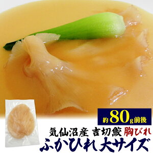 CY g؎L ӂЂ т 80g Y {錧Y H tJq O tO ؐH ؗ Ɩp f ޗ H {i LO {Y pE` ^pbN h 1lO 