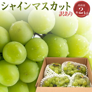 󂠂 hV̓ Mtg  ăMtg VC}XJbg 2kg Mtg{bNX RY XC[c }XJbg ͂ꂨ Ԃǂ uhE Ȃ 炲ƐHׂ 햳 Y {Y t[
