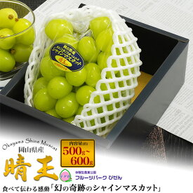 敬老の日 ギフト 秋 グルメ シャインマスカット 晴王 500g〜900g 1〜2房 岡山 岡山県産 はれおう 晴王 マスカット 葡萄 ぶどう ブドウ 種なし 皮ごと食べれる 種無し 国産 日本産 フルーツ くだもの 果物 ギフト プレゼント お供え お彼岸 お供え物 スイーツ