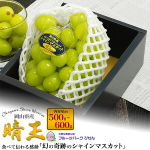 hV̓ Mtg ܂Ԃɍ VC}XJbg  500g`900g 1`2[ RY ͂ꂨ  }XJbg  Ԃǂ uhE Ȃ 炲ƐHׂ 햳 Y {Y t[c 