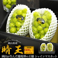 まだ間に合う 敬老の日 ギフト 秋 グルメ シャインマスカット 岡山 晴王 700g〜900g 1〜2房 岡山県産 は…