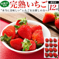 楽天市場】いちご 12粒の通販