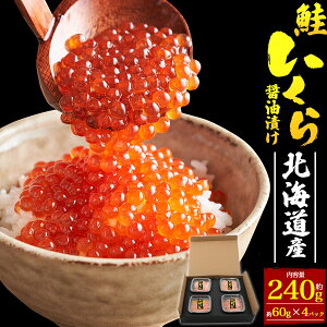 hV̓ Mtg ܂Ԃɍ  ݖЂ 60g × 4pbN kCY Y CN ܂ {Y Y  H  ikura lߍ킹 蕨 p   O Mtg j