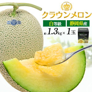  ăMtg hV̓ NE  1.3kg 1   ÉNE ÉY p 2Zbg Y {Y Â  ʕ t[c Z 蕨   