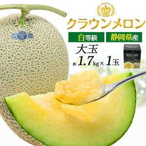 HMtg Mtg NE  1.7kg 1   ÉNE ÉY p 2Zbg Y {Y Â  ʕ t[c Mtg Z 蕨   