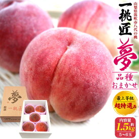 お中元 ギフト 御中元 夏ギフト 超特選品 桃 山梨県産 一桃匠 夢 1.5kg もも 甘い 国産 日本産 特産品 高級 フルーツ 果物 くだもの 詰め合わせ 贈り物 贈答 プレゼント ギフト 暑中見舞い お供え 桃 内祝い 誕生日 御祝 お返し スイーツ