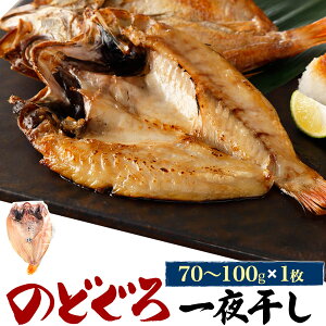 HMtg Mtg ̂ǂ늱 80g 1 Y AJc  Ⓚ ܂ ̂ǂ mhO  RA Y J 1C 1 Ă ċ   Ђ 蕨 p Ԃ j 