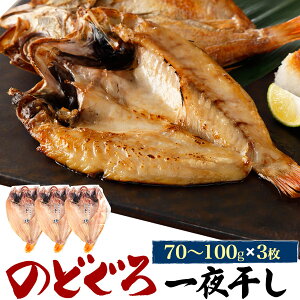 hV̓ Mtg ܂Ԃɍ ̂ǂ늱 80g 3 Y AJc  Ⓚ ܂ ̂ǂ mhO  J 3C 3 Ă ċ   Ђ 蕨 p Ԃ j 