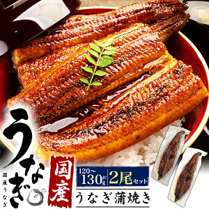 秋ギフト ギフト 丑の日 2025 うなぎ 国産 蒲焼 約140g 2尾 鰻 ウナギ 140グラム たれ付 レンチン 総菜 惣菜 粉山椒付 湯煎 電子レンジ可 国産 うな丼 贈答用 国産うなぎ ギフト 内祝い お返し お