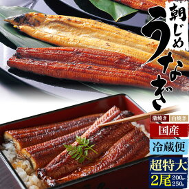 お中元 ギフト 夏ギフト 御中元 ギフト 朝じめ 国産うなぎ 蒲焼き 白焼き 超特大 200g〜250g × 2尾 素焼き 未冷凍 愛知県産 鰻 ウナギ 朝締め 特大 2匹 2本 たれ 粉山椒付 国産 うなぎ 鰻丼 うな丼 贈り物 贈答用 土用の丑の日 土用 丑の日 2025 内祝