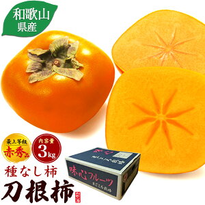 a̎RY ` ԏGi 3kg TCYs M`2LTCY 12`15 Ƃ˂ 햳`  JL ˂Ȃ` Ȃ` Ƃˊ` Y t[c ʕ H̖o {̉ʕ 蕨 p 䋟