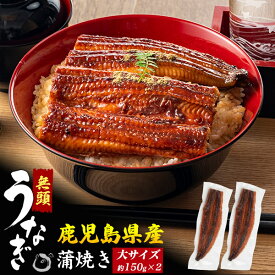 お中元 ギフト 夏ギフト 御中元 うなぎ 国産 蒲焼 約 150g 2尾 鰻 ウナギ 150グラム 2匹 たれ付 レンチン 総菜 惣菜 粉山椒付 湯煎 電子レンジ可 国産 鰻丼 うな丼 贈答用 内祝い お祝い おつまみ ウナギ冷凍 プレゼント うなぎ蒲焼 お惣菜 配達 指定 日付指定 丑の日 2026