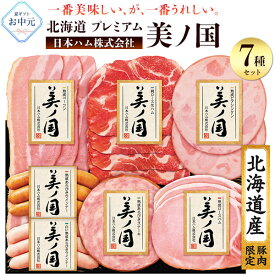お中元 2025 【日本ハム 北海道 プレミアム 美ノ国 UKH-38】 ハムギフト 美しの国 詰め合わせ セット ニッポンハム ニホンハム ウインナー ソーセージ 定番 贈り物 贈答用 お取り寄せ グルメ 高級 ギフト プレゼント 通販 宅配 直送 [冷蔵] 送料無料