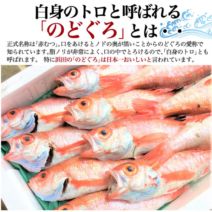 楽天市場 のどぐろ干物 110g 2枚 国産 産地直送 山陰浜田 アカムツ 高級魚 冷凍 おつまみ のどぐろ ノドグロ 干物 山陰 島根県産 開き 2匹 2尾 焼き魚 焼魚 魚 さかな ひもの 贈り物 贈答用 お返し 内祝い お祝い 22年 お歳暮 ギフト 直送