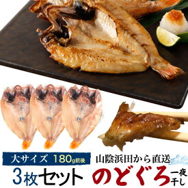 楽天市場 白イカ 冷凍の通販