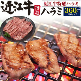 お中元 ギフト 夏ギフト 御中元 肉 食品 誕生日 国産 近江牛 特上 ハラミ 360g 540g 720g 焼肉 はらみ ホルモン 日本三大和牛 牛肉 希少 焼き肉 高級肉 日本産 滋賀県 グルメ 内祝い お祝い 結婚祝い プレゼント 肉 お礼 御返し お肉 肉ギフト 焼肉用 日付指定